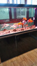森森（SUNSUN）大型鱼缸底过滤水族箱客厅家用落地玻璃生态金鱼缸 【实时温显】1.5米长42cm宽（黑白灰可选） 实拍图