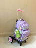 BOLERBEAR中小学生书包拉杆架通用初中儿童手拖拉小拉车推爬楼梯可折叠静音 粉色静音大轮【背板款】 实拍图