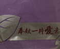 红豆（Hodo）秋冬情侣纯棉秋衣秋裤春秋打底纯棉毛衫男士女士保暖内衣套装 牡丹紫（女款） M 165/90 实拍图