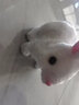 亦趣电动兔子小白兔毛绒玩具会跑会叫好玩女孩3岁儿童生日礼物 小兔子(白) 实拍图