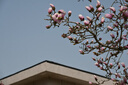 尼康（Nikon）Z 6II（Z6ii/Z62）全画幅微单数码照相机4K高清Volg摄像机学生 礼物 旅游 手持随身拍照片直播相机 Z 6ll+24-200一镜天涯镜头 官方标配【送备用电池/钢化膜等 实拍图