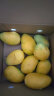 京鲜生 海南小台农芒果 1kg装 单果50g以上 新鲜水果 实拍图
