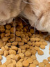 弗列加特猫主粮烘焙猫粮鲜肉粮Fregate 85%高鲜肉烘焙粮 全价鲜肉烘焙猫粮 【磷虾油美毛】鸡肉配方1.8kg 实拍图