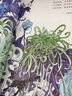 画聊斋（蒲松龄纪念馆官方推荐！画师九千坊手绘50余幅插图，作家顾湘译写10大名篇！典藏国风艺术绘本，演绎奇美聊斋世界） 实拍图