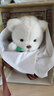 莉娜熊（TeddyTales）小熊玩偶毛绒玩具泰迪手作熊公仔娃娃生日礼物送女生 恐龙小奶白 搭配短毛崽崽 礼盒装 实拍图
