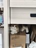 派可为猫抓板猫窝特大圆形剑麻猫抓板磨爪猫爪板耐用耐磨瓦楞纸猫咪玩具 【L型款】大号立式（26*40*60) 特大号 实拍图
