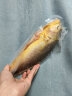 三都港 冷冻宁德大黄鱼700g 2条装 黄花鱼 生鲜 鱼类 深海鱼 海鲜水产 实拍图