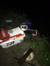 桐木子线盒仕挂盒木质鱼线盒木制工具盒挂钩无痕加厚绒布内衬容量大可放大钩钓鱼用品 桐木双层子线盒 （45cm） 默认 实拍图