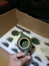 祥业哥窑功夫茶具整套装泡茶壶盖碗茶道六君子乔迁中秋节送礼伴手礼 哥窑茶具套装（安全包装） 12头 实拍图