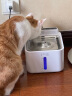小甜橙猫咪恒温饮水机流动宠物饮水机自动循环饮水器加热水碗冬天插电 晒单实拍图