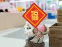 aqpa【95白鸭绒&三防】儿童羽绒服冬男女童宝宝可收纳帅气萌趣保暖 森林摇滚乐 100cm(充绒量40g) 实拍图