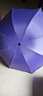 访客【雨伞】晴雨两用 创意雨伞 折叠伞男女通用太阳伞遮阳伞防晒伞 遇水开花紫色 实拍图