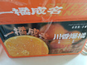 四叔公果蔬金标·蜂糖李【JD 顺丰速运-多地次日达】当季新鲜李子水果礼盒 中果【单果36-39mm】 5斤礼盒装【精挑好果-豪华送礼】 实拍图