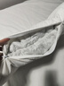 然牌分区荞麦枕 颈椎枕枕头护颈枕荞麦皮枕头纯棉 单只装42x68cm 实拍图
