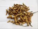 冬虫夏草断草虫草断草虫草断虫草自食10克送1克 营养滋补品 藏区精品大断草买80克送8克 实拍图