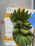 果迎鲜 香蕉 广西小米蕉 5斤装 芭蕉 新鲜水果 生鲜 生果需催熟 小香蕉 实拍图