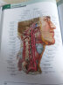 奈特人体解剖学彩色图谱，第8版 实拍图