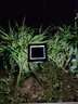 TUYAGE太阳能led草坪灯户外庭院灯草地灯景观灯现代时尚不用电插地式 太阳能款-黑色（三色光） 实拍图