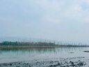 NE&CE Ne&CE自行车前灯骑行无线码表带灯防水迈速表山地车手电公路车灯 三合一无线码表喇叭灯（黑色升级前飘） 实拍图