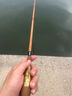 RYOBI利优比竹彩仙竹秀钓鱼竿并继竿鲫鱼竿台钓竿插节杆并继竿轻细鱼竿 4.5m 仙竹46调 实拍图