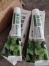 致朵薄荷小苏打牙膏亮白牙齿劲爽薄荷型清新口气洁白减少牙渍牙垢牙龈 劲爽薄荷炫白牙膏 100g*3盒 实拍图
