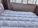 浪莎（LangSha）全棉国标羽绒被95白鹅绒被子冬被加厚保暖秋冬被褥空调棉质被芯纯 羽绒被-奶白色 200x230cm约8斤【已质检】 实拍图