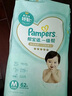 帮宝适（Pampers）一级帮拉拉裤婴儿尿不湿小内裤 L码46片【一级帮拉拉裤】 实拍图