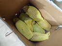 春福乐 【顺丰速运】海南三亚青皮澳芒 现摘芒果新鲜水果礼盒装 特大果5斤丨果农精选丨单果500g+ 陆运一级果【性价比推荐】 实拍图