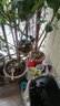 绮花2只仿真喜鹊 装饰小鸟假鸟羽毛摆件庭院花园阳台小院菜园装饰 仿真喜鹊夹子款2只装 实拍图