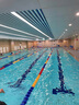 WATERTIME/水川 鼻夹游泳成人鼻塞防水儿童初学者舒适防滑防呛水游泳装备 实拍图