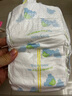 泰迪熊（Teddy Bear）呼吸特薄纸尿裤透气干爽婴儿宝宝尿不湿新生儿 纸尿裤M70片（建议10-17斤） 实拍图