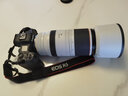 佳能（Canon）RF全画幅微单镜头 专业变焦镜头打鸟 适合R7 RP R10 R5 R6二代 R8 R50 R100微单相机 RF 100-500mm IS USM超远摄变焦 套餐三【升级卡色偏振镜 实拍图