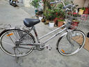 川泽阪田出口日本自行车单速内三速轻便车弯把双斜梁男女款城市通勤车全新 亮银色单速摩电灯 24寸 实拍图