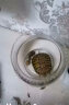 易萌 黄金巴西龟活物炫彩龟小乌龟活体宠物龟半水龟招财龟草龟活体龟 7-9厘米一只 实拍图