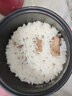 ICOOK迷你电饭煲1人特小号电饭煲家用一键快煮0.8L小型电饭煲单人小功率宿舍电饭锅一人食不沾锅内胆 机械款【陶瓷釉内胆*2个+厨房礼包】 0.8L 实拍图