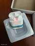 野蔷薇 无线蓝牙耳机迷你华为OPPO/vivo苹果通用入耳式男女生款可爱跑步运动iphone 高配版【触摸控制】钢琴白 实拍图