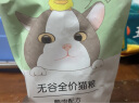 江小傲无谷鸭肉配方猫粮冻干营养成猫幼猫专用全阶段猫粮3斤装 实拍图