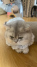 卫仕猫用化毛膏120g*2  宠物猫维生素鱼油化毛球营养膏 微量元素猫咪化毛球 晒单实拍图