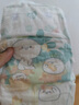 帮宝适（Pampers） 纸尿裤宝宝尿不湿婴儿尿裤干爽透气尿布湿男女宝宝通用 清新帮M54片【6-11kg】 实拍图