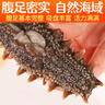 美风堂 即食海参大连单个装鲜食野生底播辽参刺参海鲜年货16-20只500g 实拍图