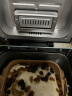 柏翠（petrus）面包机烤面包机家用全自动多功能和面机多士炉冰淇淋肉松PE9709  晒单实拍图