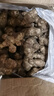 辰实【新货现挖】洋姜新鲜 现挖野鬼子姜菊芋腌菜 生姜不辣蔬菜 9.5斤大号【白洋姜】 推荐 实拍图