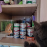 珍致猫零食猫条 吞拿鱼芒果10g*4支 进口猫湿粮猫罐头 喵酱之吻系列 实拍图