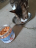 俘获G15南极磷虾宠物零食猫咪磷虾冻干成幼猫狗营养磨牙虾仁冻干 南极磷虾40g*1罐+毛酥绵绵*1包 实拍图