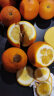 【已售220万斤】湖南麻阳脐橙 高甜无渣 果园现发 优质产区橙子 带箱9.6-10斤特大果 (70mm) 实拍图