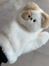 晨阴可爱帕恰狗连指毛绒手套女生冬季卡通保暖加绒学生冬天骑车防寒冻 卡其色小狗手套 实拍图