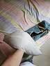艾草枕头枕高枕中式复古仿古宫廷养生睡眠方枕单人枕芯 古典枕-海藻绿 护颈枕【外套+内胆】 实拍图