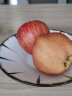珍妹陕西白水苹果粉沙新鲜水果12-16个4.5斤 宝宝刮泥老人吃的面苹果 4.5斤12-16枚中小果 实拍图