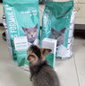 凯锐思英短猫粮专用蓝猫幼猫成猫深海鱼鱼肉猫食天然粮 【经典款】英短12斤 实拍图