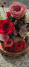 AMYROSE永生花一鹿有你玫瑰花礼盒520情人节礼物生日送女友爱人闺蜜 一鹿繁花-红色（大号） 实拍图